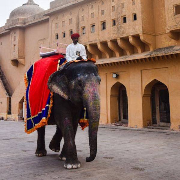 Inde majestueuse : Nature, Spiritualité et Patrimoine