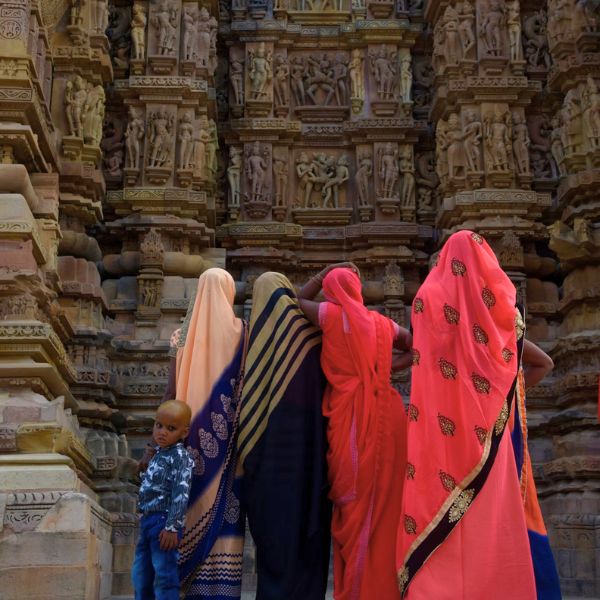 Sur les Traces des Tigres et des Merveilles de l'Inde